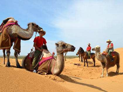 One day with camels