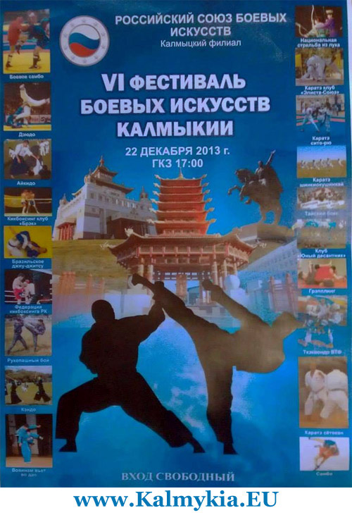 Festival of fighting arts