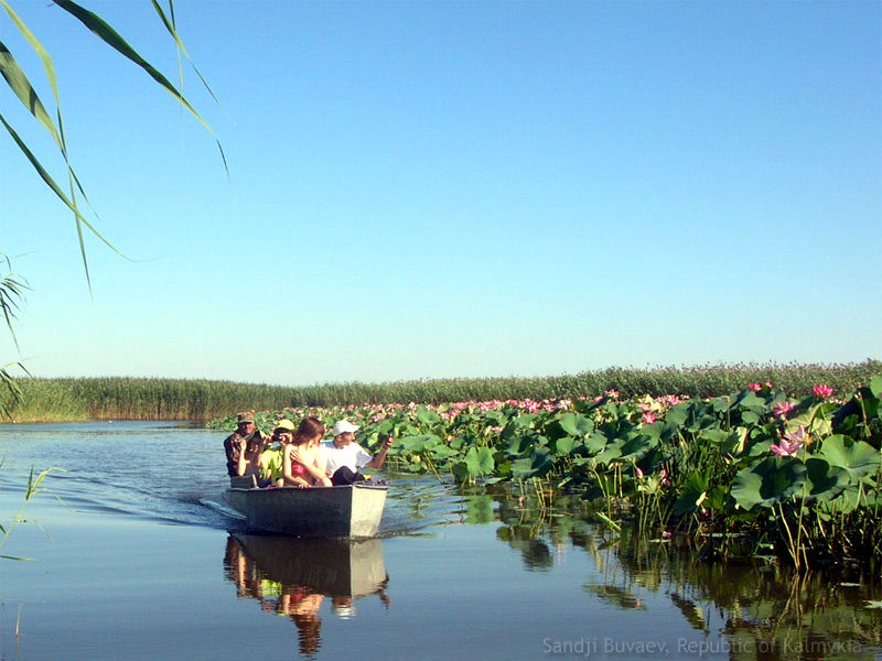 Trip to the lotuses