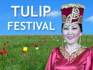 Tulip Fest