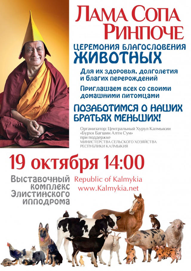 Animal blessing ceremony Animal blessing ceremony