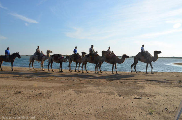 Caravan in Kalmykia