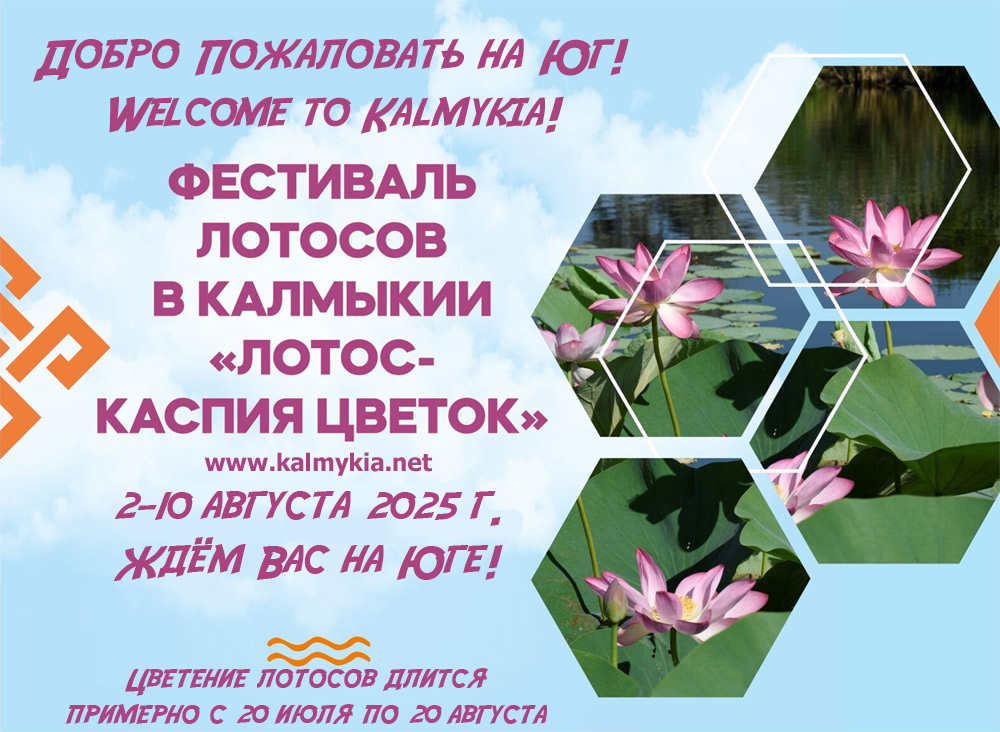 Lotus Fest Lotus Fest