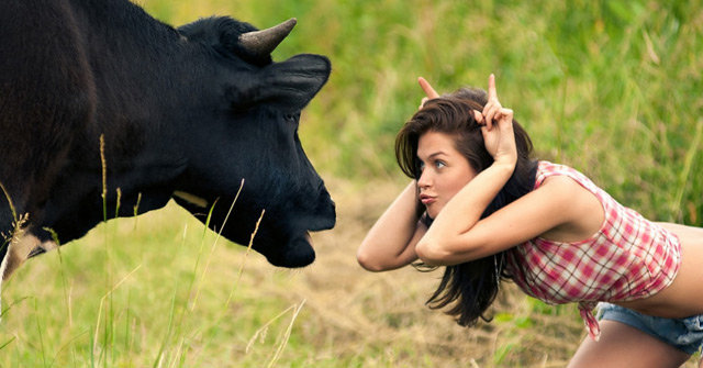 Girl and cow