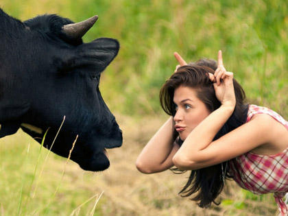 Girl and cow