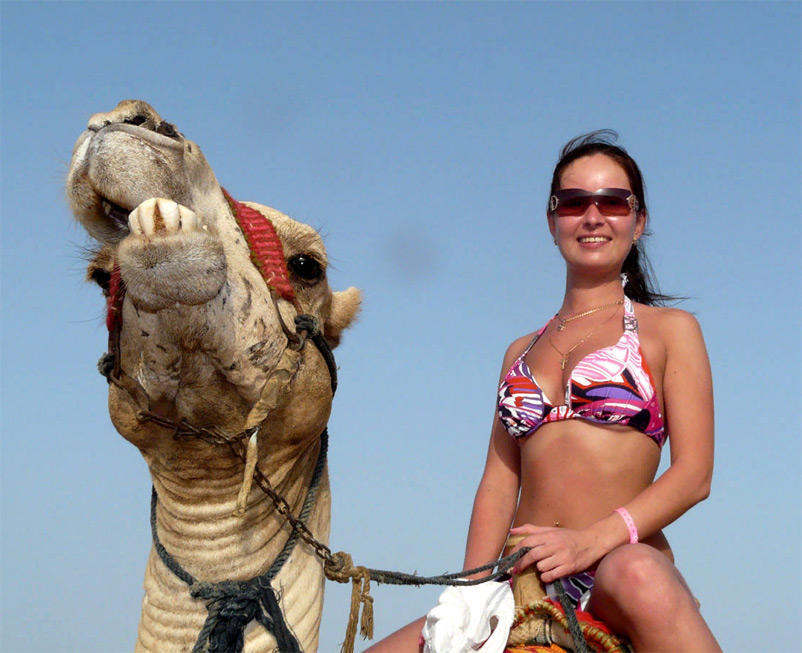 Girl on the camel