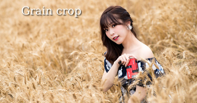 Grain crop Grain crop