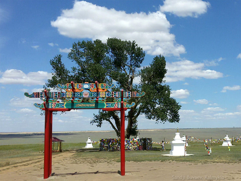 Sacred tree Sacred tree