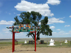 Sacred Lonely tree