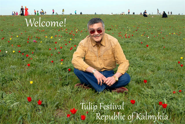 Tulip Festival in Kalmykia