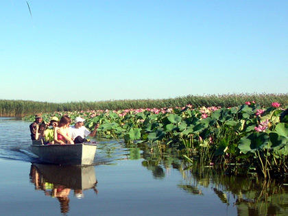 Adventure and lotuses