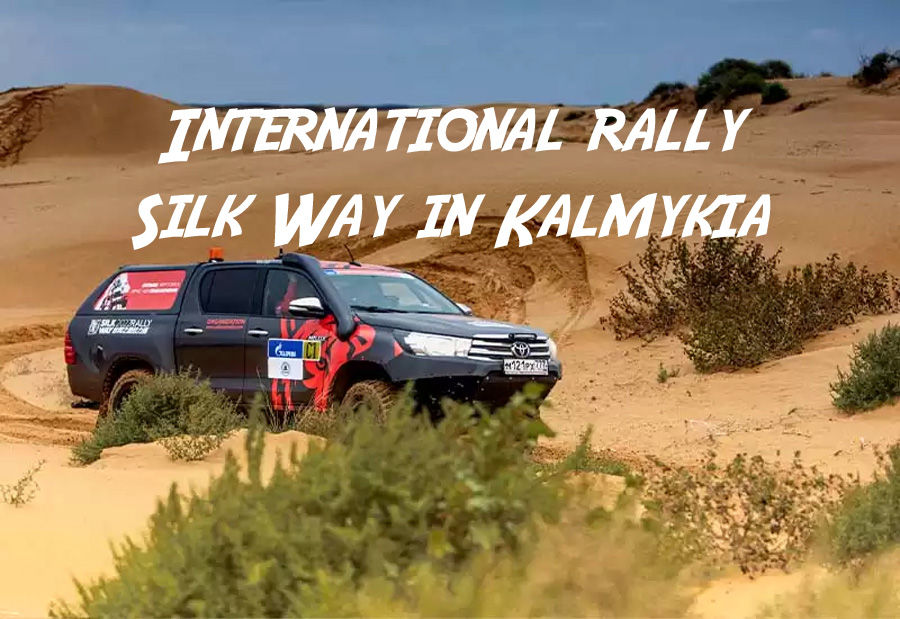 International rally Silk Way