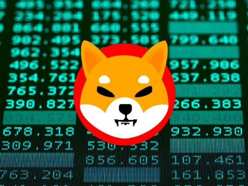Shiba Inu coin Shiba Inu coin
