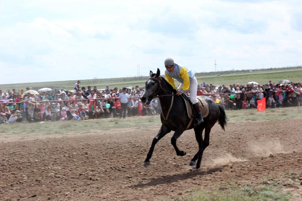 Equestrian sports competitions Equestrian sports competitions