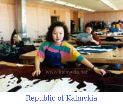 Tannery Arschi Kalmykia