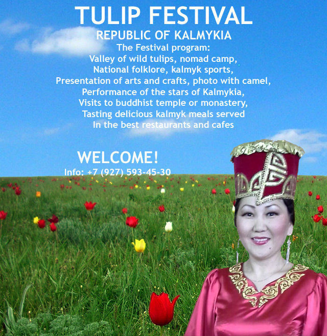 Tulip Festival