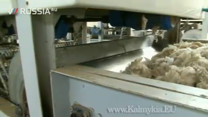 Wool processing factory Wool processing factory